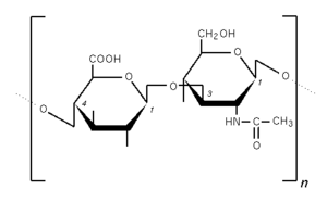 L’acide hyaluronique